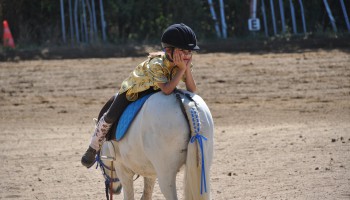 (Re)Donner le gout de l'équitation