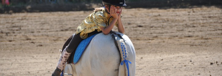 (Re)Donner le gout de l'équitation
